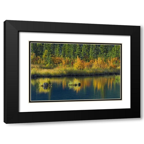 Canada, Banff NP Vermillion Lake in fall Black Modern Wood Framed Art Print with Double Matting by Grandmaison, Mike