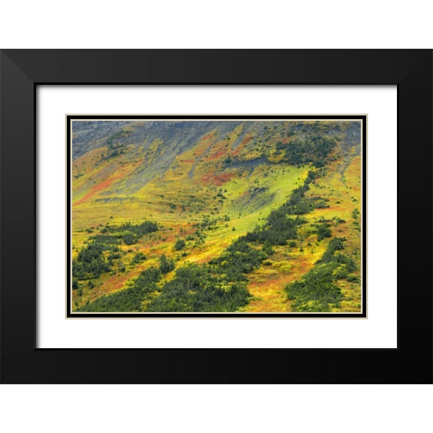 Canada, Alberta Autumn in the Canadian Rocky Mts Black Modern Wood Framed Art Print with Double Matting by Grandmaison, Mike