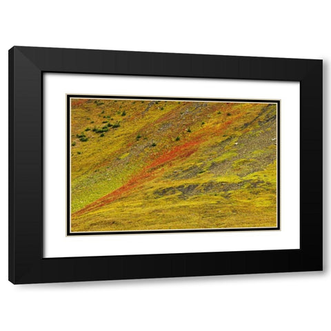 Canada, Alberta Autumn in the Canadian Rocky Mts Black Modern Wood Framed Art Print with Double Matting by Grandmaison, Mike
