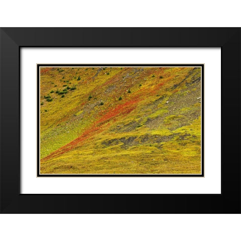 Canada, Alberta Autumn in the Canadian Rocky Mts Black Modern Wood Framed Art Print with Double Matting by Grandmaison, Mike