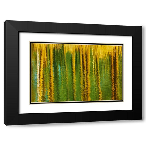 Canada, Alberta, Elk Island NP Aspen by a pond Black Modern Wood Framed Art Print with Double Matting by Grandmaison, Mike