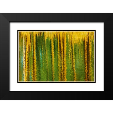 Canada, Alberta, Elk Island NP Aspen by a pond Black Modern Wood Framed Art Print with Double Matting by Grandmaison, Mike