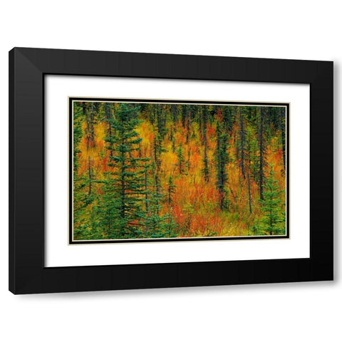 Canada, Alberta Autumn in a meadow Black Modern Wood Framed Art Print with Double Matting by Grandmaison, Mike