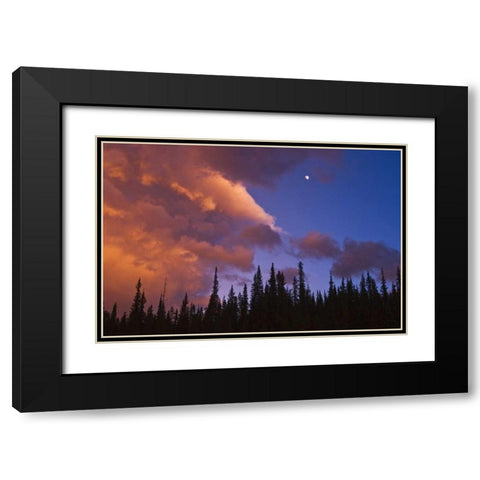 Canada, Alberta, Jasper NP Clouds over forest Black Modern Wood Framed Art Print with Double Matting by Grandmaison, Mike