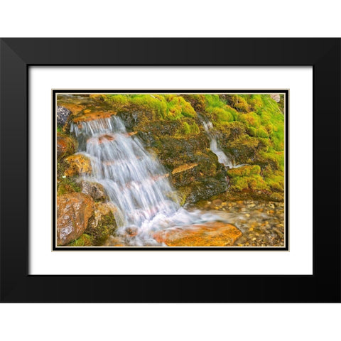 Canada-Alberta-Banff National Park Creek and waterfall scenic Black Modern Wood Framed Art Print with Double Matting by Jaynes Gallery