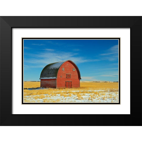 Canada-Alberta-Vulcan Red barn in winter Black Modern Wood Framed Art Print with Double Matting by Jaynes Gallery
