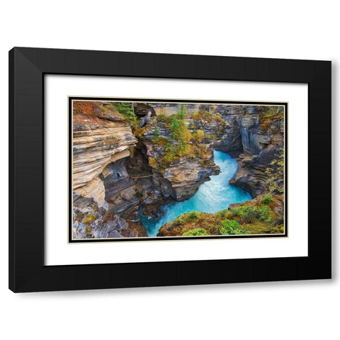 Canada-Alberta-Jasper National Park Athabasca River at Athabasca Falls Black Modern Wood Framed Art Print with Double Matting by Jaynes Gallery