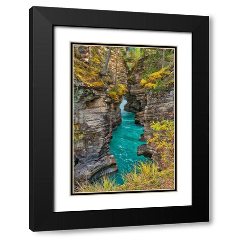 Canada-Alberta-Jasper National Park Athabasca River at Athabasca Falls Black Modern Wood Framed Art Print with Double Matting by Jaynes Gallery