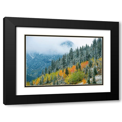 Canada-Alberta Fog in Canadian Rocky Mountains Black Modern Wood Framed Art Print with Double Matting by Jaynes Gallery