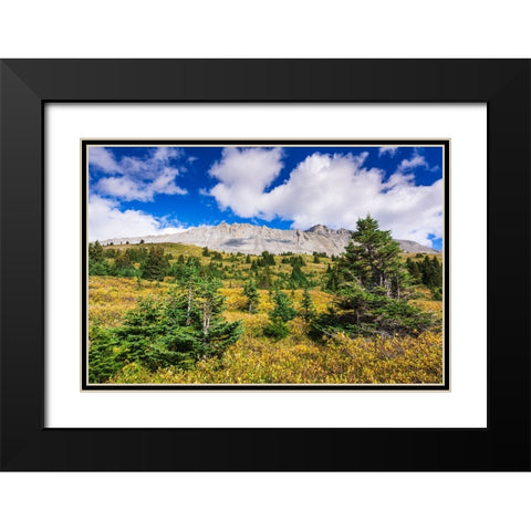 Nigel Peak from Wilcox Ridge-Columbia Icefields-Jasper National Park-Alberta-Canada Black Modern Wood Framed Art Print with Double Matting by Bishop, Russ
