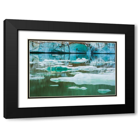 Icebergs on glacial meltwater under Mount Edith Cavell-Jasper National Park-Alberta-Canada Black Modern Wood Framed Art Print with Double Matting by Bishop, Russ