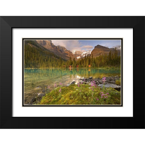 Canada, Yoho NP Lodge and forest by Lake Ohara Black Modern Wood Framed Art Print with Double Matting by Paulson, Don