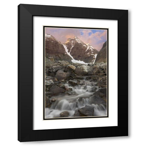 Canada, Yoho NP Small rapids and Cathedral Mt Black Modern Wood Framed Art Print with Double Matting by Paulson, Don
