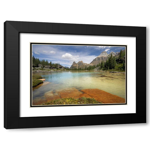 Canada, BC, Yoho NP Opabin Terrace Pools Black Modern Wood Framed Art Print with Double Matting by Paulson, Don