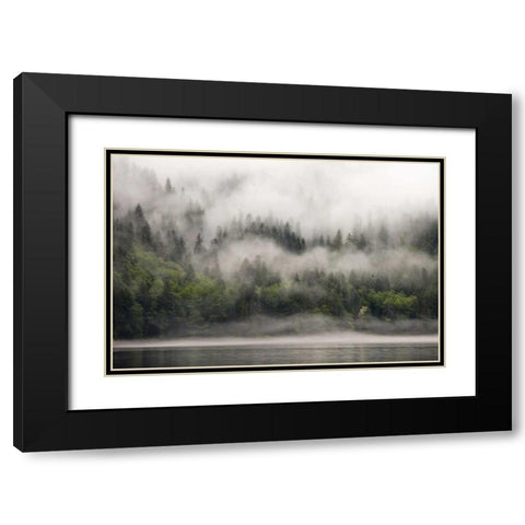 Canada, BC, Fog-shrouded forest by ocean inlet Black Modern Wood Framed Art Print with Double Matting by Paulson, Don