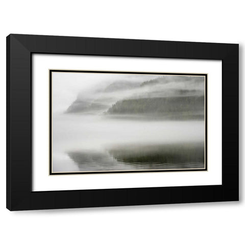 Canada, BC, Calvert Island Fog shrouded forest Black Modern Wood Framed Art Print with Double Matting by Paulson, Don