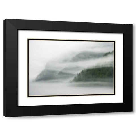 Canada, BC, Mist and fog shroud the island Black Modern Wood Framed Art Print with Double Matting by Paulson, Don
