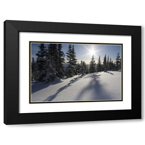 Canada, BC, Smithers Snow-laden spruce trees Black Modern Wood Framed Art Print with Double Matting by Young, Bill