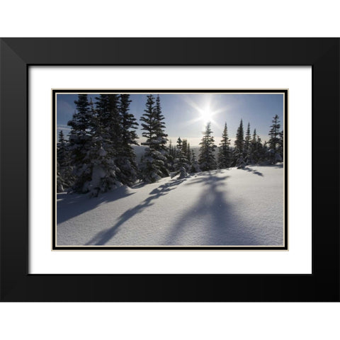 Canada, BC, Smithers Snow-laden spruce trees Black Modern Wood Framed Art Print with Double Matting by Young, Bill