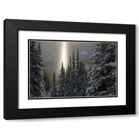 Canada, BC, Smithers Winter snow landscape Black Modern Wood Framed Art Print with Double Matting by Young, Bill
