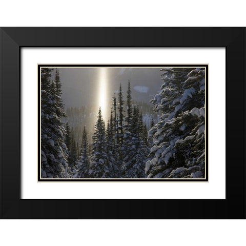 Canada, BC, Smithers Winter snow landscape Black Modern Wood Framed Art Print with Double Matting by Young, Bill