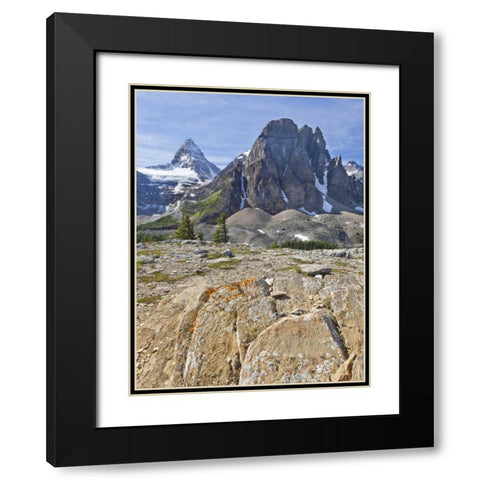 Canada, BC, Mt Assiniboine and Wedgwood Peak Black Modern Wood Framed Art Print with Double Matting by Paulson, Don
