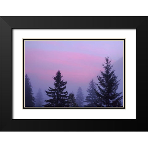 Canada, BC, Mt Robson PP Foggy sunrise scenic Black Modern Wood Framed Art Print with Double Matting by Paulson, Don
