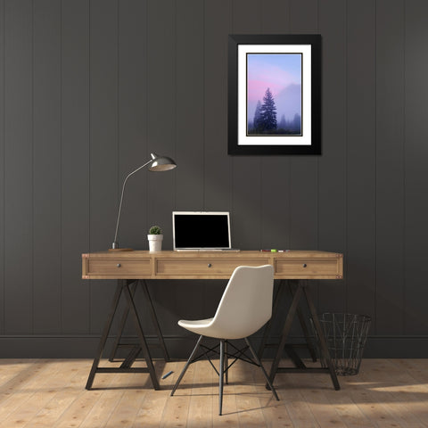 Canada, BC, Mt Robson PP Foggy sunrise scenic Black Modern Wood Framed Art Print with Double Matting by Paulson, Don
