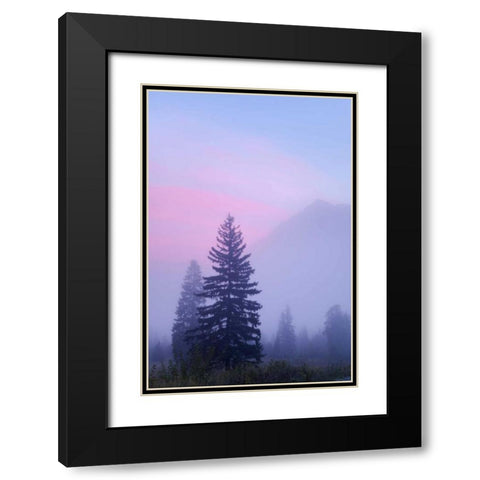 Canada, BC, Mt Robson PP Foggy sunrise scenic Black Modern Wood Framed Art Print with Double Matting by Paulson, Don