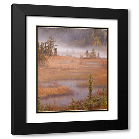 Canada, BC, Mount Robson PP Wetlands in autumn Black Modern Wood Framed Art Print with Double Matting by Paulson, Don
