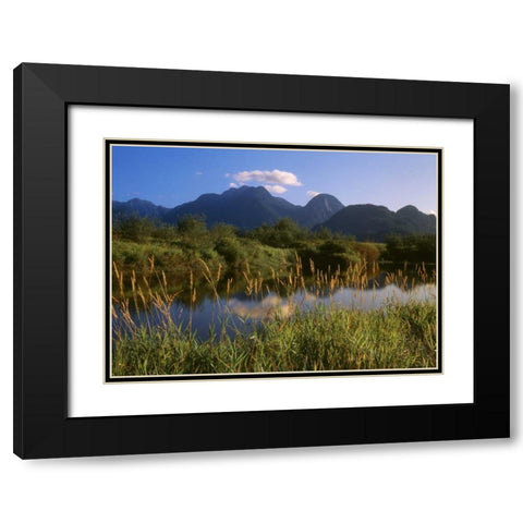 Canada, Pitt Addington Wildlife Management Area Black Modern Wood Framed Art Print with Double Matting by Grandmaison, Mike