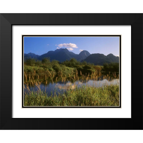 Canada, Pitt Addington Wildlife Management Area Black Modern Wood Framed Art Print with Double Matting by Grandmaison, Mike