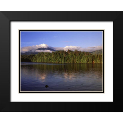 Canada, British Columbia, Coastal forest Black Modern Wood Framed Art Print with Double Matting by Grandmaison, Mike