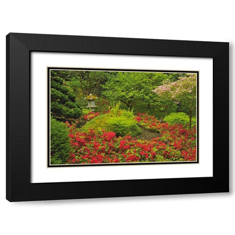 Canada, BC, Vancouver Lush Green Garden Black Modern Wood Framed Art Print with Double Matting by Grandmaison, Mike