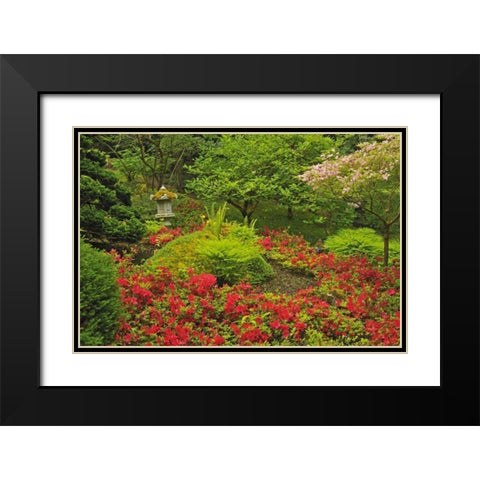 Canada, BC, Vancouver Lush Green Garden Black Modern Wood Framed Art Print with Double Matting by Grandmaison, Mike