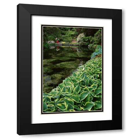 Canada, BC, Victoria Beautiful Garden Scenic Black Modern Wood Framed Art Print with Double Matting by Bush, Marie