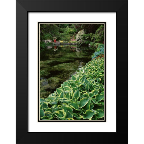 Canada, BC, Victoria Beautiful Garden Scenic Black Modern Wood Framed Art Print with Double Matting by Bush, Marie