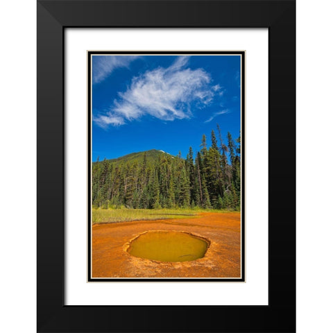 Canada-British Columbia-Kootenay National Park Iron-rich Paint Pots mineral springs stain ground Black Modern Wood Framed Art Print with Double Matting by Jaynes Gallery