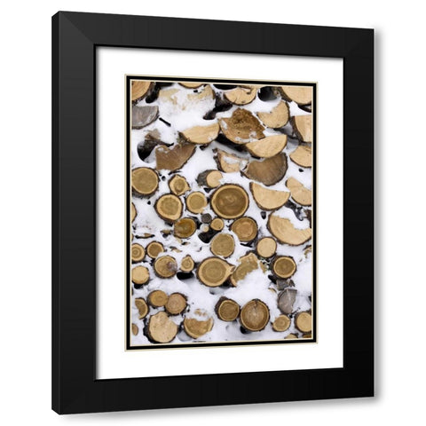 Canada, Churchill Stack of frozen cut fire wood Black Modern Wood Framed Art Print with Double Matting by Kaveney, Wendy