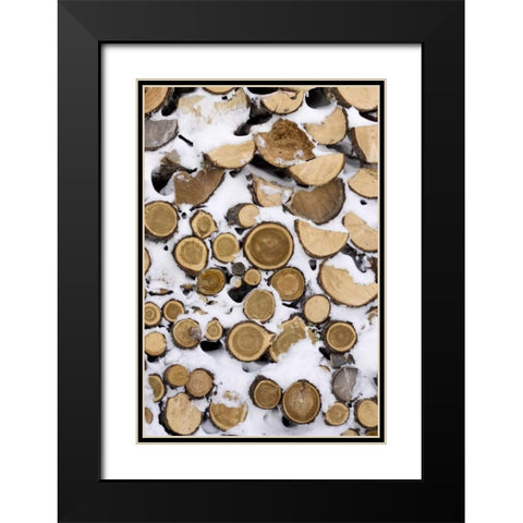 Canada, Churchill Stack of frozen cut fire wood Black Modern Wood Framed Art Print with Double Matting by Kaveney, Wendy