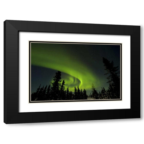 Canada, Manitoba Aurora borealis and trees Black Modern Wood Framed Art Print with Double Matting by Illg, Cathy and Gordon