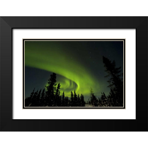 Canada, Manitoba Aurora borealis and trees Black Modern Wood Framed Art Print with Double Matting by Illg, Cathy and Gordon