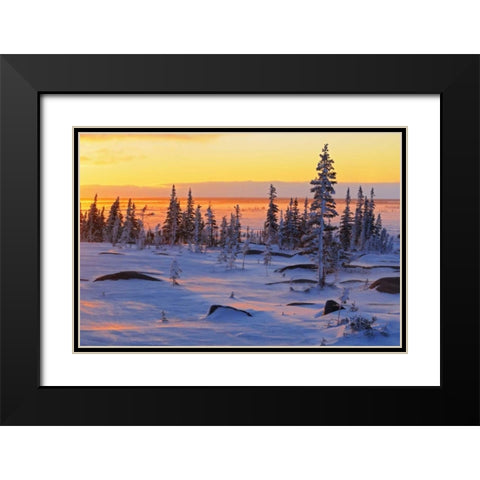 Canada, Churchill, Hudson Bay Sunrise on tundra Black Modern Wood Framed Art Print with Double Matting by Grandmaison, Mike