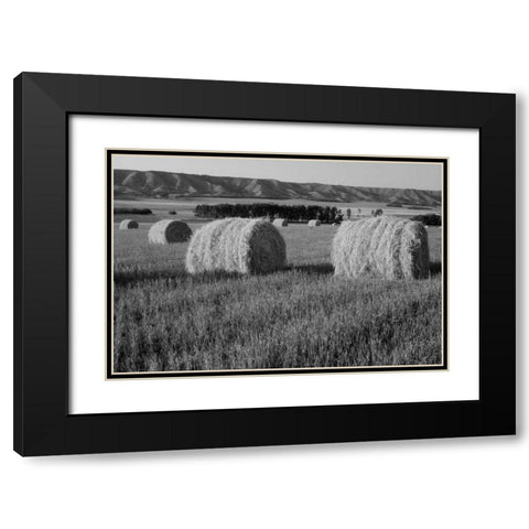 Canada, Manitoba, rolled hay bales in field Black Modern Wood Framed Art Print with Double Matting by Grandmaison, Mike