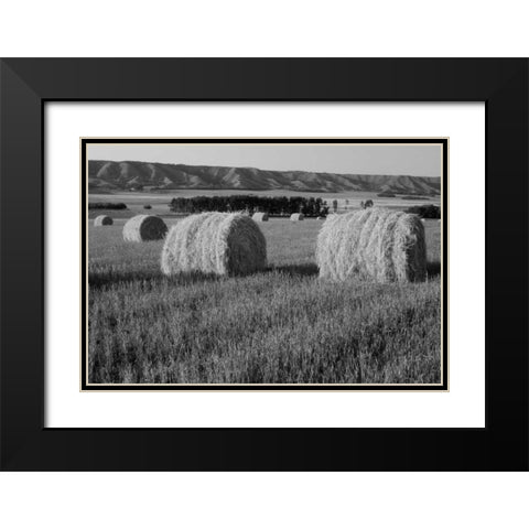 Canada, Manitoba, rolled hay bales in field Black Modern Wood Framed Art Print with Double Matting by Grandmaison, Mike