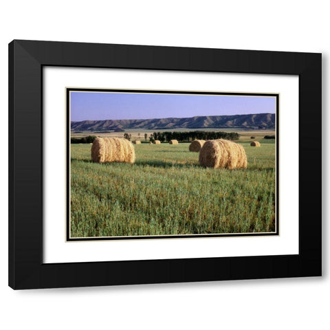 Canada, Manitoba, rolled hay bales in field Black Modern Wood Framed Art Print with Double Matting by Grandmaison, Mike