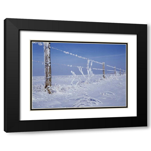 Canada, Manitoba, Dugald, hoarfrost and fence Black Modern Wood Framed Art Print with Double Matting by Grandmaison, Mike