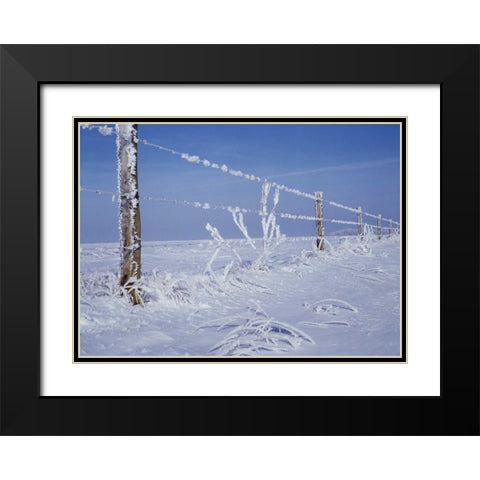 Canada, Manitoba, Dugald, hoarfrost and fence Black Modern Wood Framed Art Print with Double Matting by Grandmaison, Mike
