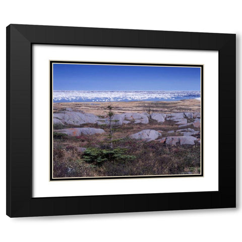 Canada, Manitoba, Churchill, Ice floe floating Black Modern Wood Framed Art Print with Double Matting by Grandmaison, Mike