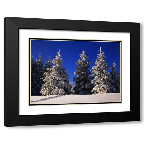Canada, Manitoba, Riding Mountain NP Black Modern Wood Framed Art Print with Double Matting by Grandmaison, Mike